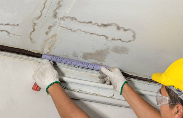 Affordable Structural Drying solutions in Westville, IL